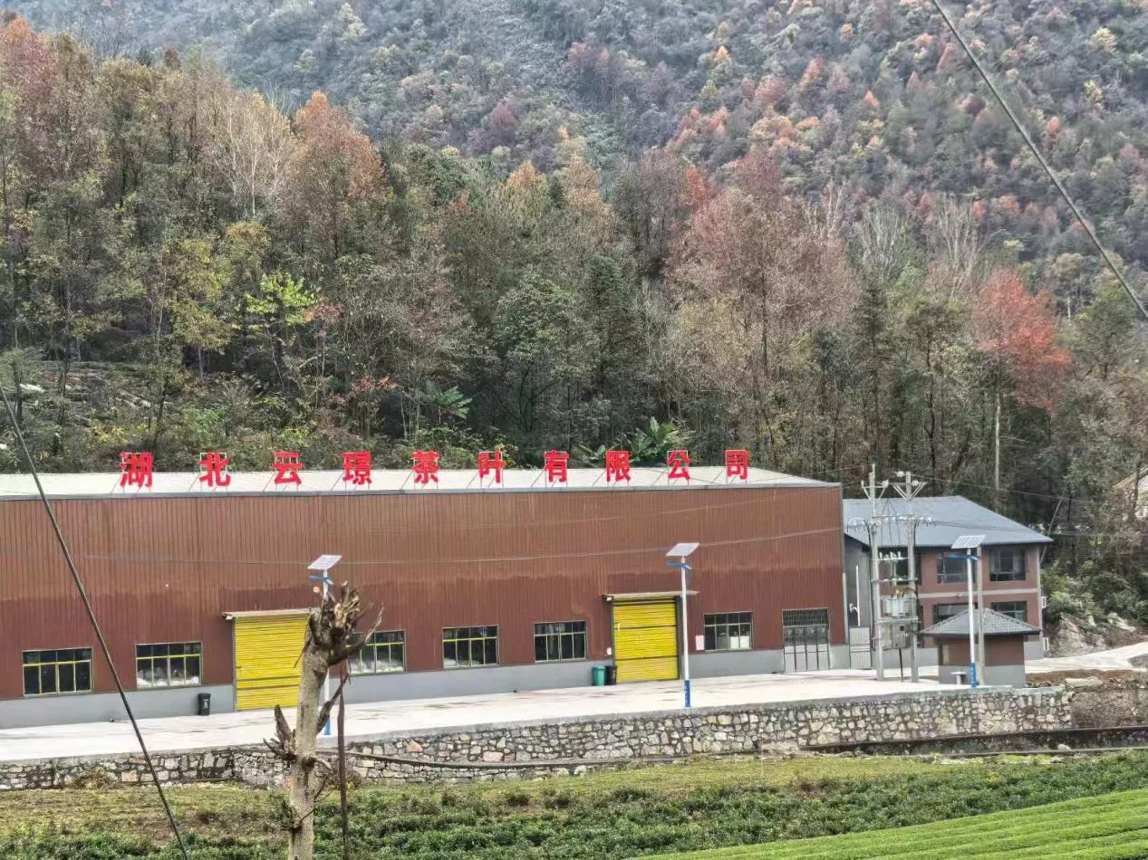 Tea factory supporting bulk container shipments