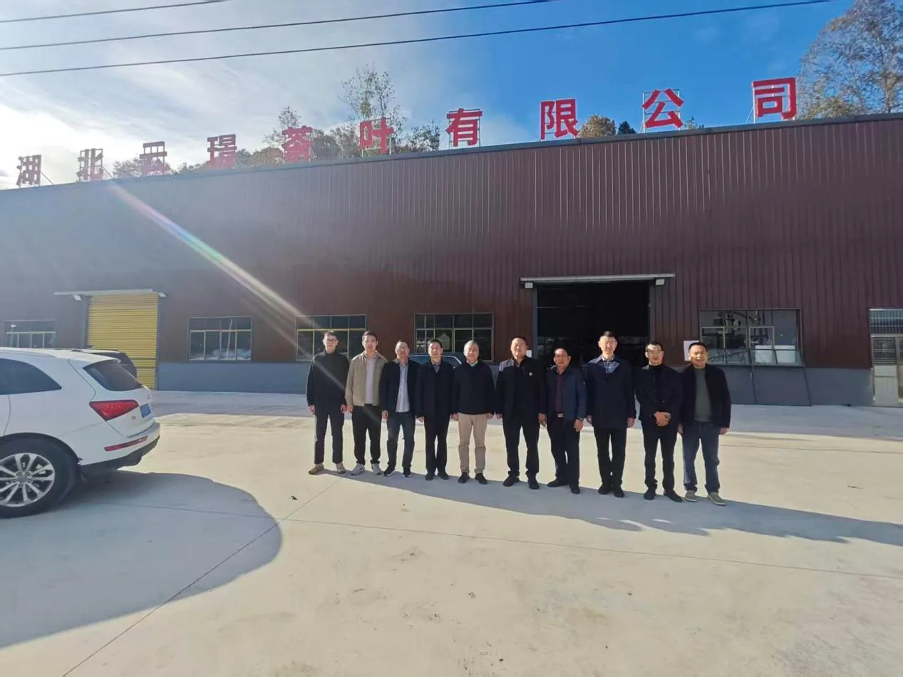 Yunjing Tea team at the Wufeng tea factory