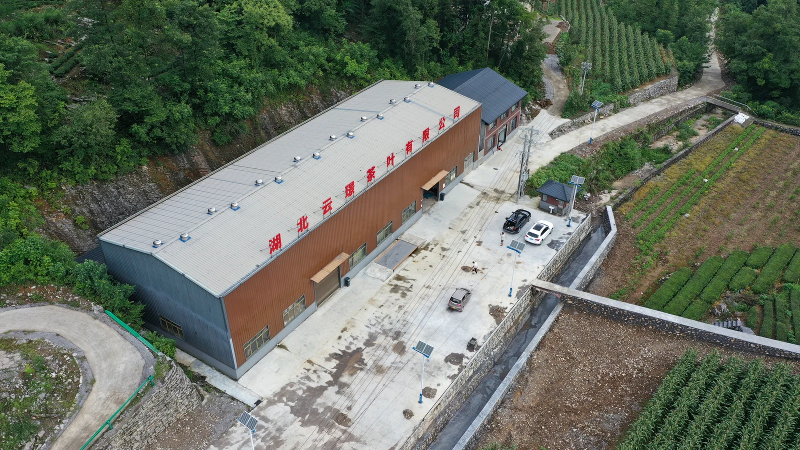 Aerial view of the Yunjing Tea factory beside mountain fields
